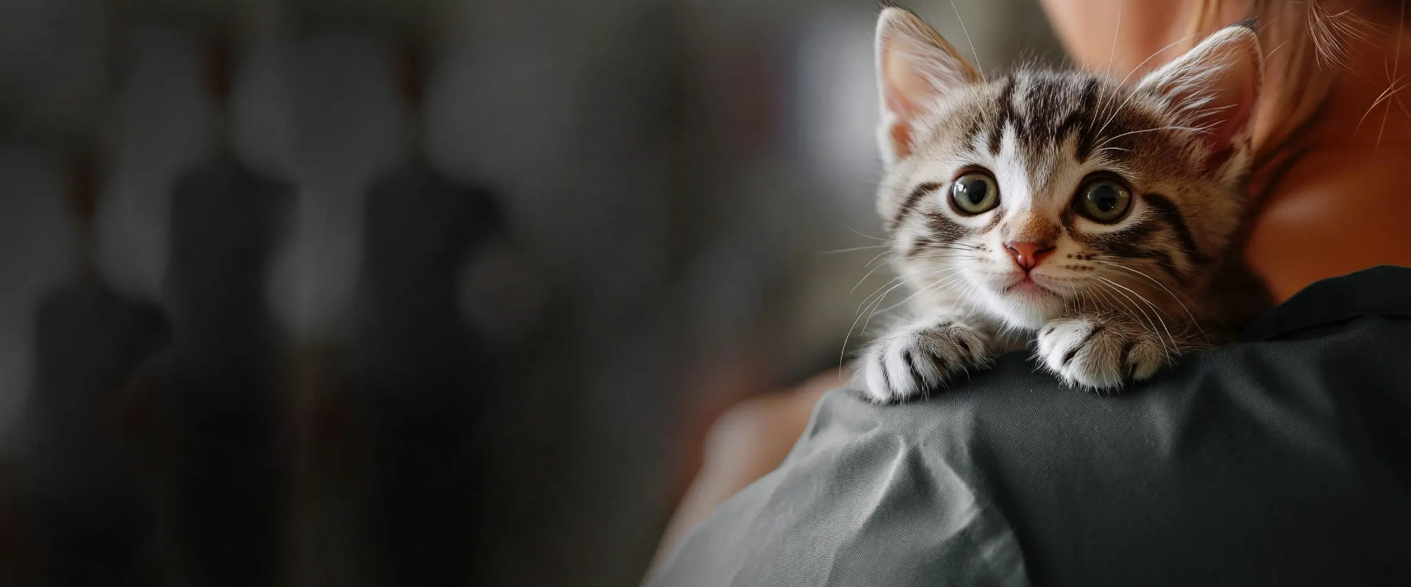 PawPaw Cornerslider_item_YAFw8e