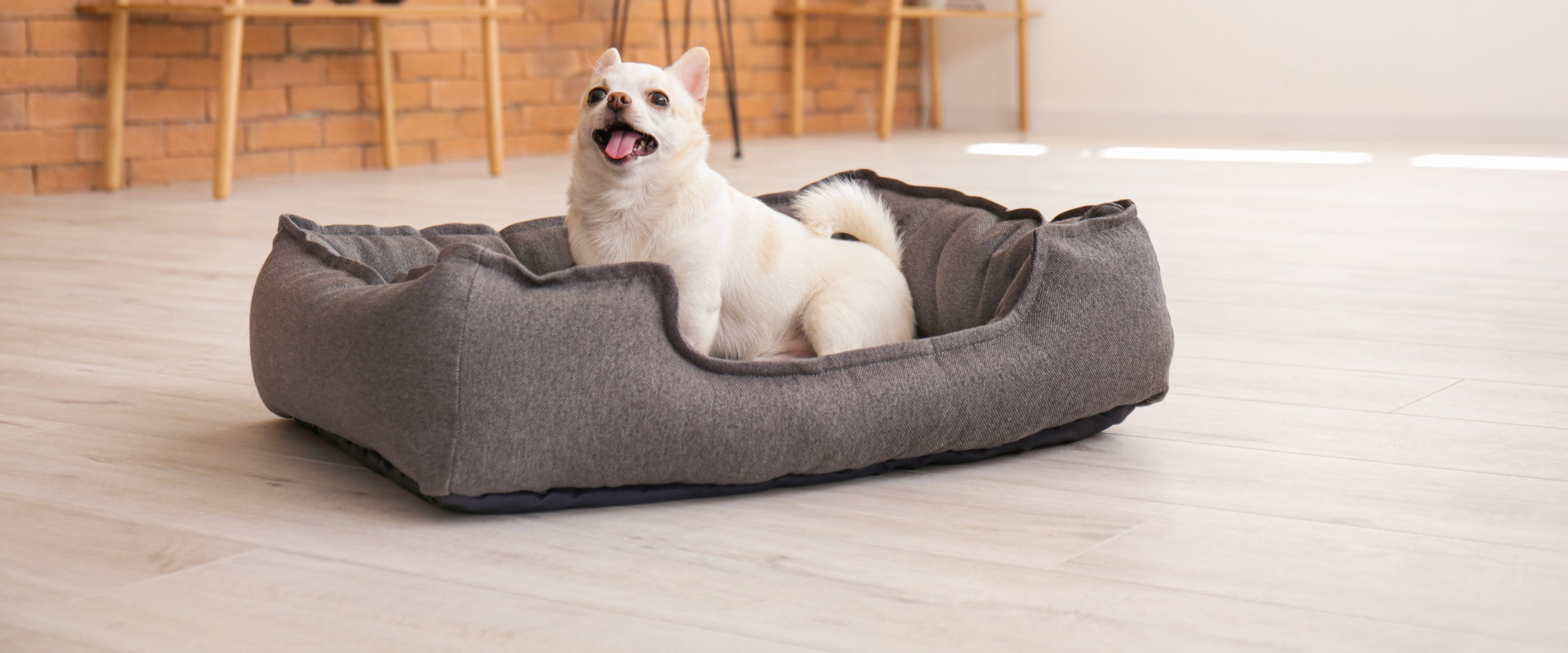 PawPaw Cornerslider_item_gXtQWb